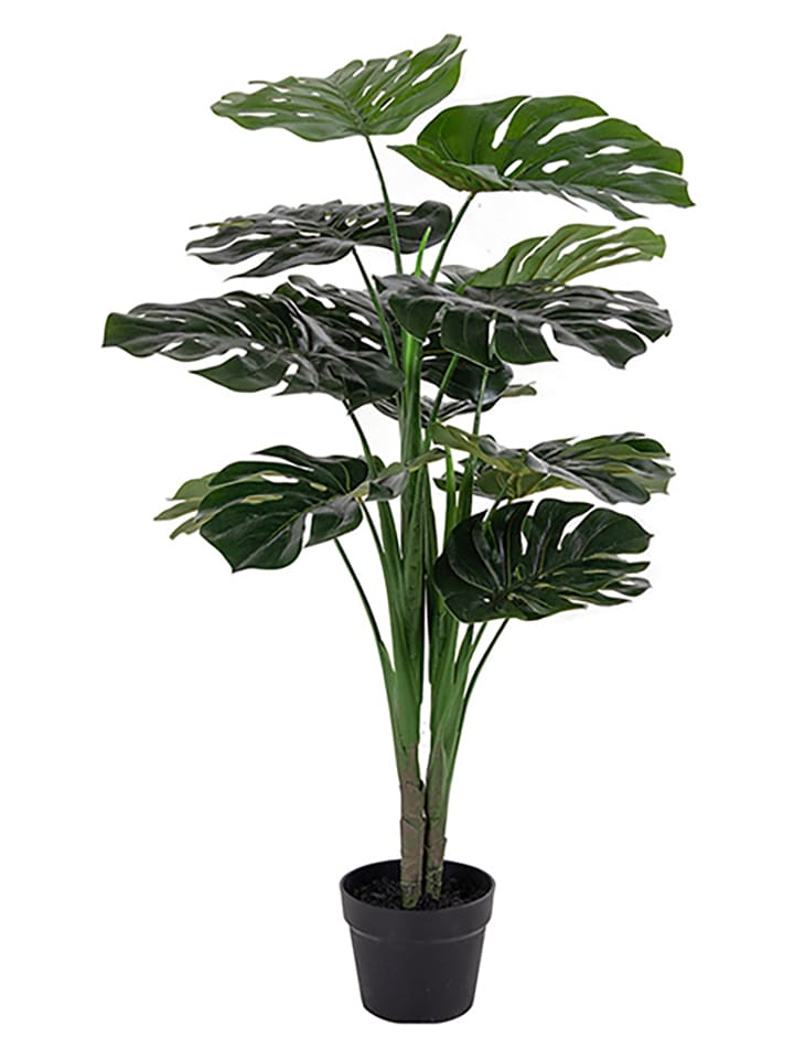 House Nordic Sztuczna roślina w kolorze ciemnozielonym - wys. 90 cm rozmiar: onesize