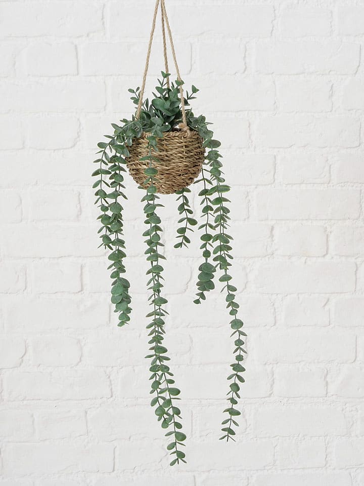 Boltze Sztuczna roślina "Eukalyptu" w kolorze zielono-jasnobrązowym - wys. 78 cm rozmiar: onesize