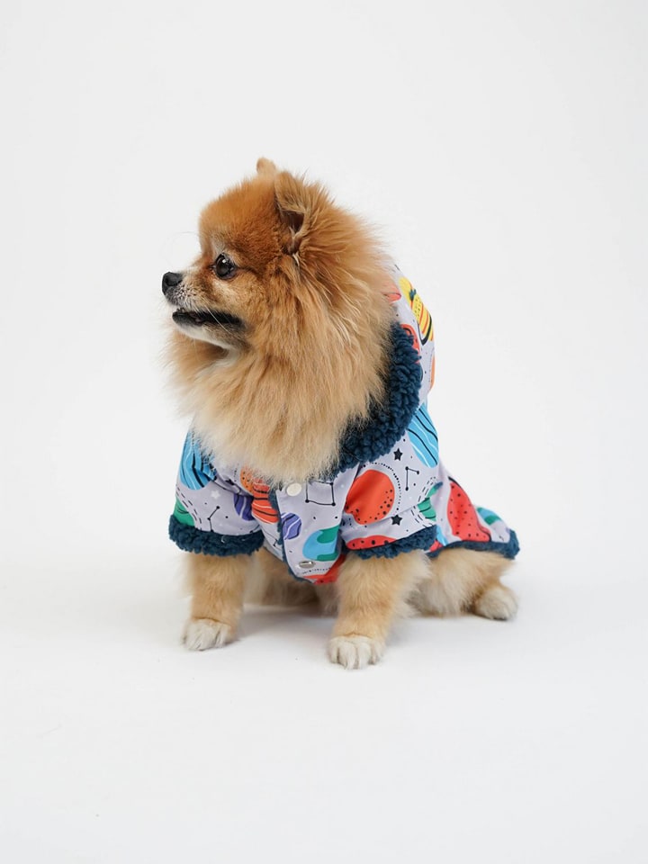 Paws&Whiskers Bluza ze wzorem dla psa rozmiar: XL