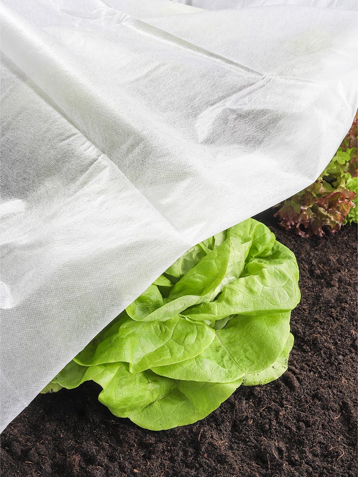 Garden Hero Osłonka w kolorze białym na rośliny - 500 x 150 cm rozmiar: onesize