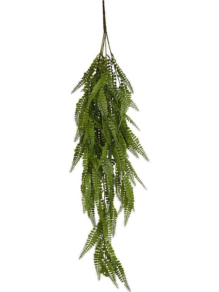 heine home Sztuczna roślina "Adiantum" w kolorze zielonym - 23 x 88 x 8 cm rozmiar: onesize