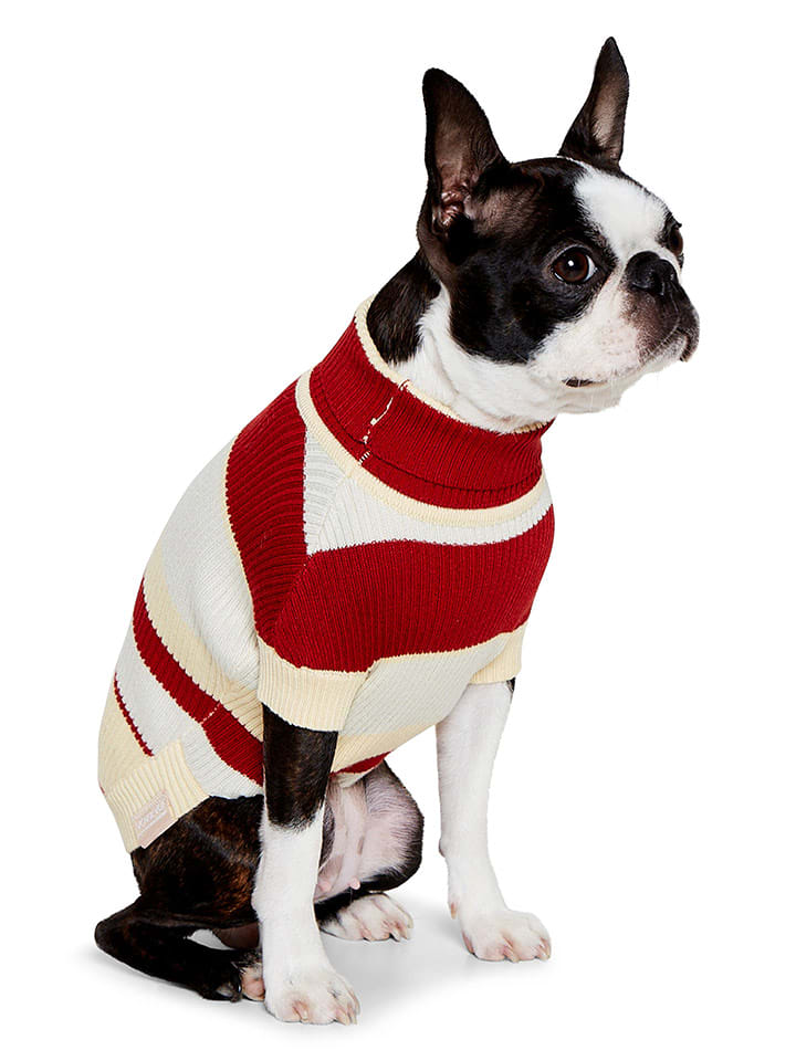 VOV & VUF Sweter w kolorze bordowo-beżowym dla psa rozmiar: L