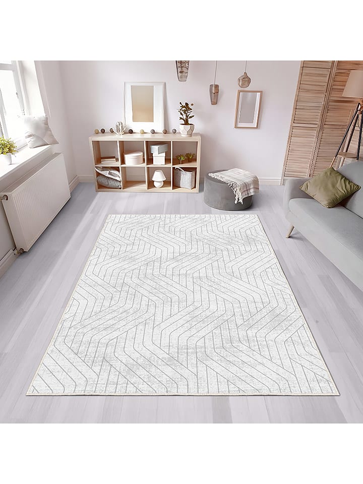 CARPET DIEM Dywan w kolorze szaro-białym rozmiar: 120x180 cm