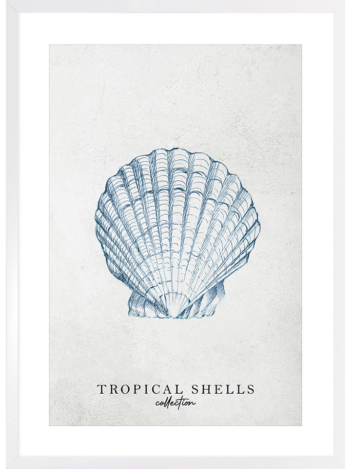 Ars Longa Druk artystyczny "Tropical shell collection no. 2" w ramce rozmiar: 50x70 cm