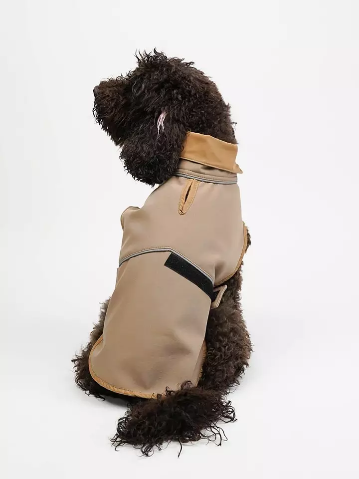 Paws&Whiskers Bluza w kolorze beżowym dla psa rozmiar: M