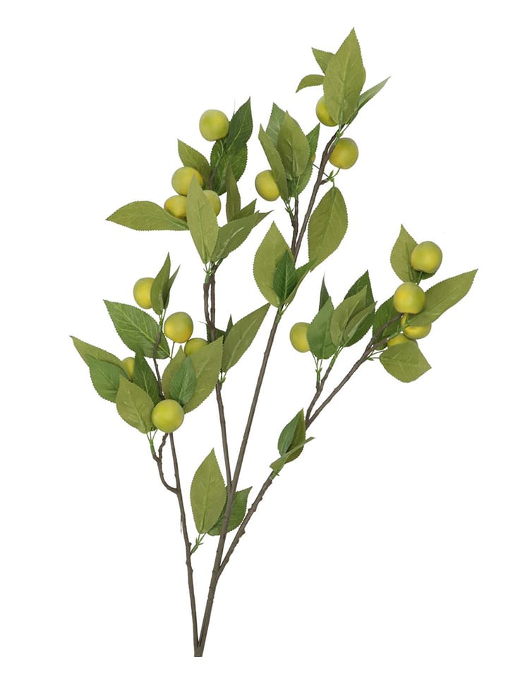 daan kromhout Dekoracyjna gałązka "Apple Plum" w kolorze zielonym - wys. 90 cm rozmiar: onesize