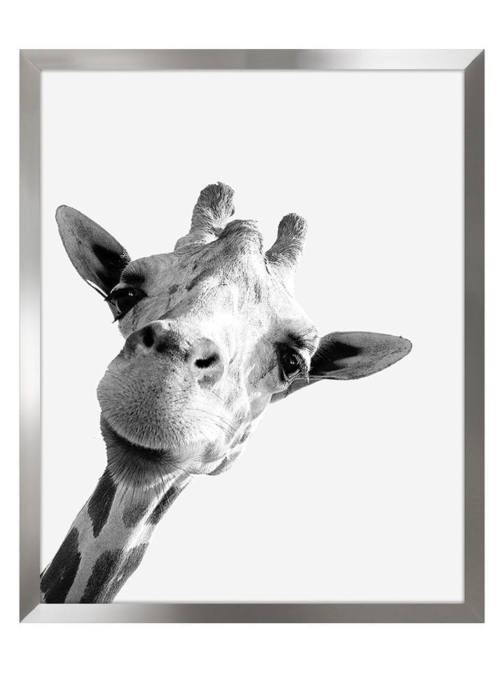 Ars Longa Druk artystyczny "Giraffe" w ramce - 70 x 50 cm rozmiar: onesize