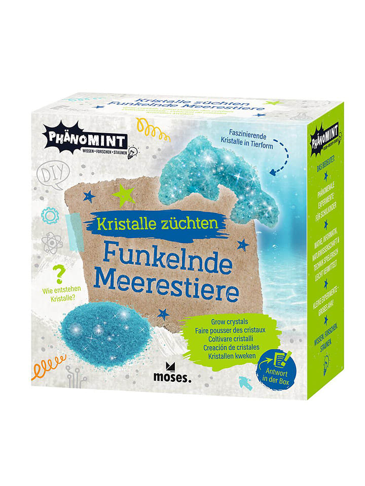 moses. Zestaw do eksperymentowania - 5+ (produkt niespodzianka) rozmiar: onesize