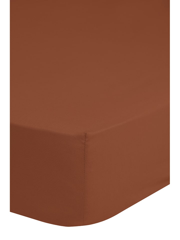 Good Morning Prześcieradło "Good Morning" w kolorze jasnobrązowym na gumce rozmiar: 80x200 cm