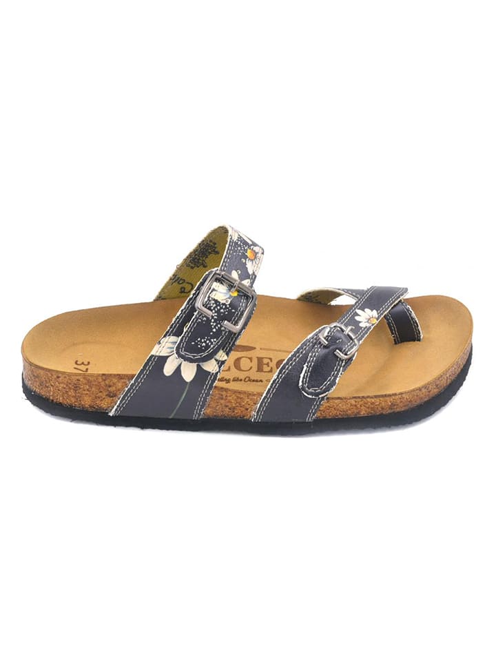 Calceo Japonki w kolorze granatowo-białym rozmiar: 39