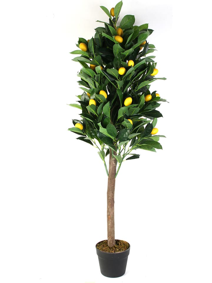 Garden Spirit Sztuczna roślina w kolorze zielonym - wys. 40 x Ø 12,5 cm rozmiar: onesize