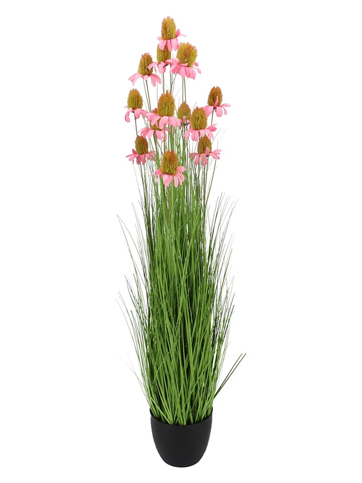 daan kromhout Sztuczna roślina "Cosmos Grass" w kolorze różowo-zielonym - wys. 150 cm rozmiar: onesize