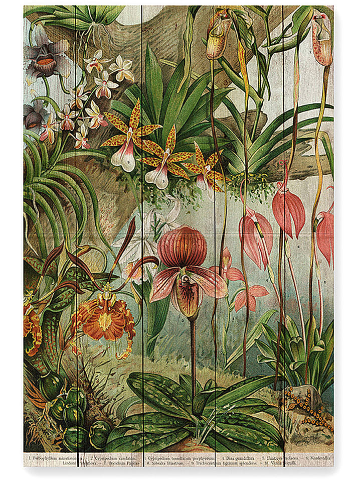 Madre Selva Druk "Jungle Flowers" na drewnie - 40 x 60 cm rozmiar: onesize