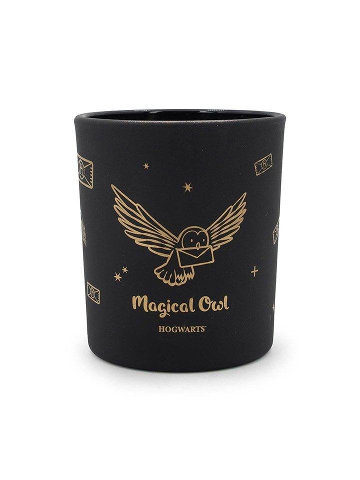 Harry Potter Świeca zapachowa "Harry Potter Magical Owl" - 135 g rozmiar: onesize
