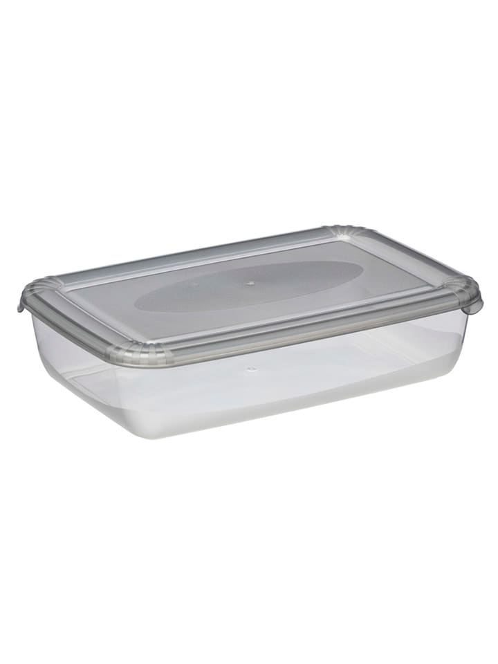 Plast Team Pojemnik w kolorze szarym - 20,6 x 5 x 13,4 cm rozmiar: onesize