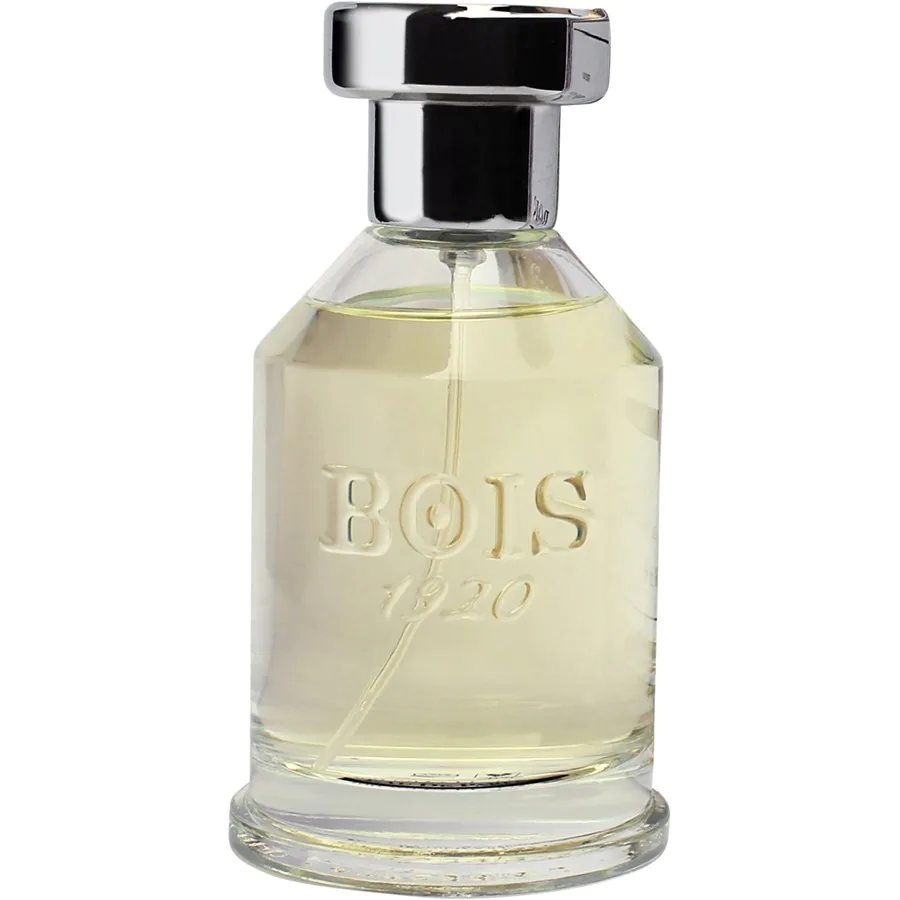 Bois 1920 Bois 1920 Paranà Eau de Parfum Spray eau_de_parfum 100.0 ml
