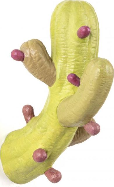 Wieszak Cactus kolorowy