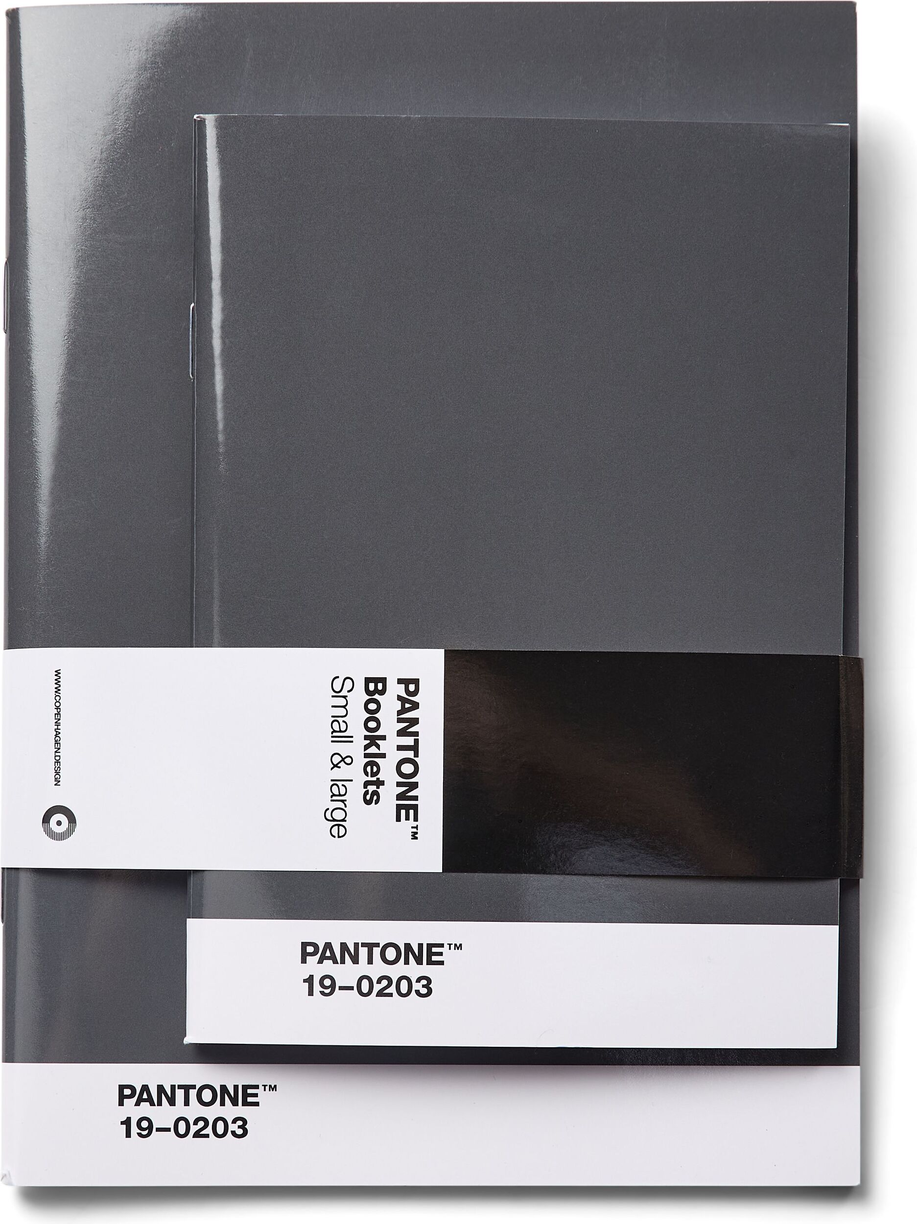 Zeszyty gładkie Pantone szare 2 szt.