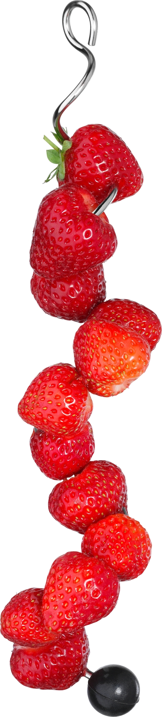 Spirale do karafki Basic WMF 2 szt.