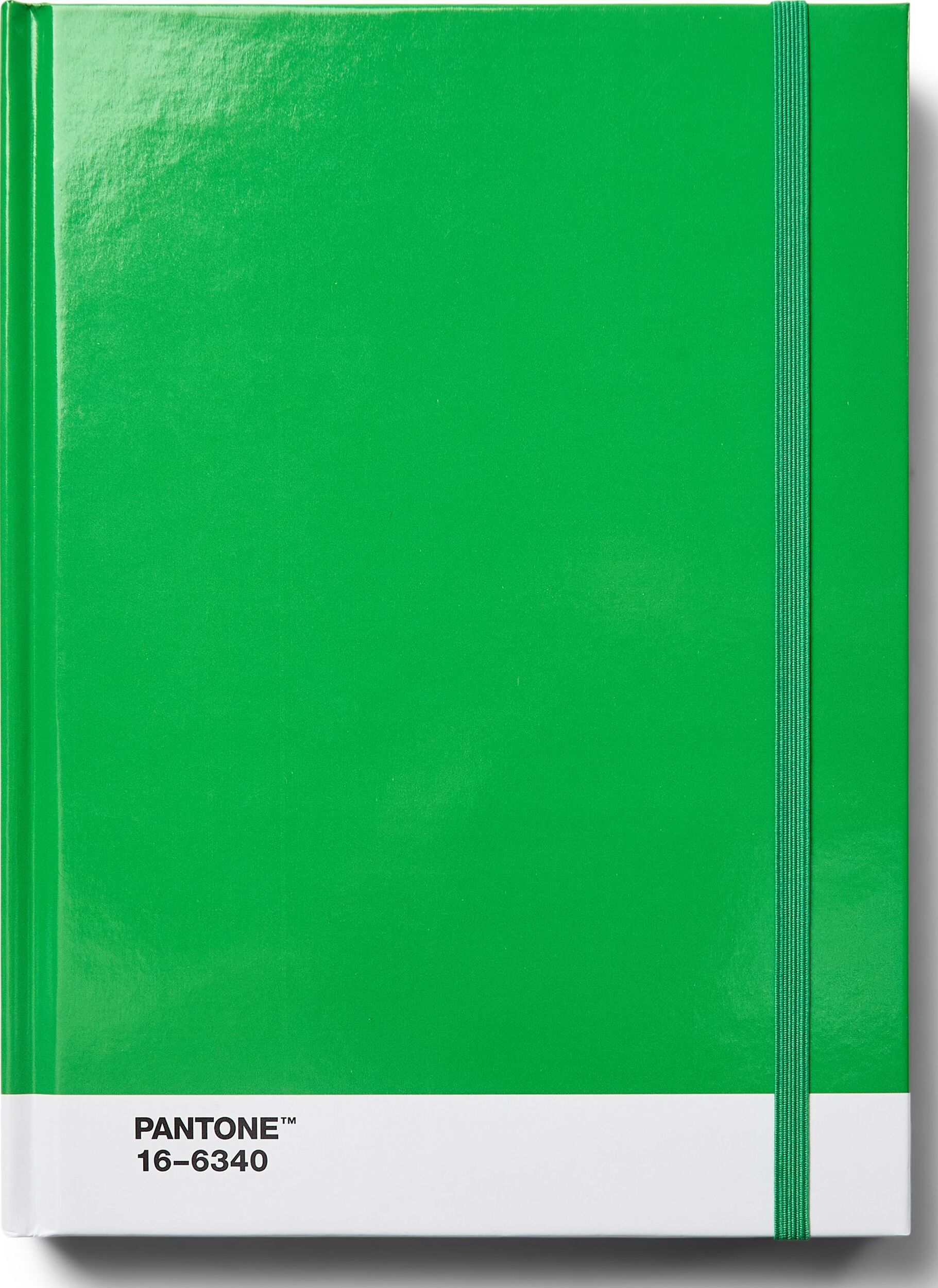 Notes w kropki Pantone L zielony