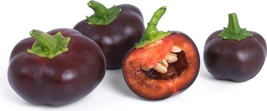 Wkład nasienny Lingot mini warzywa papryka czekoladowa