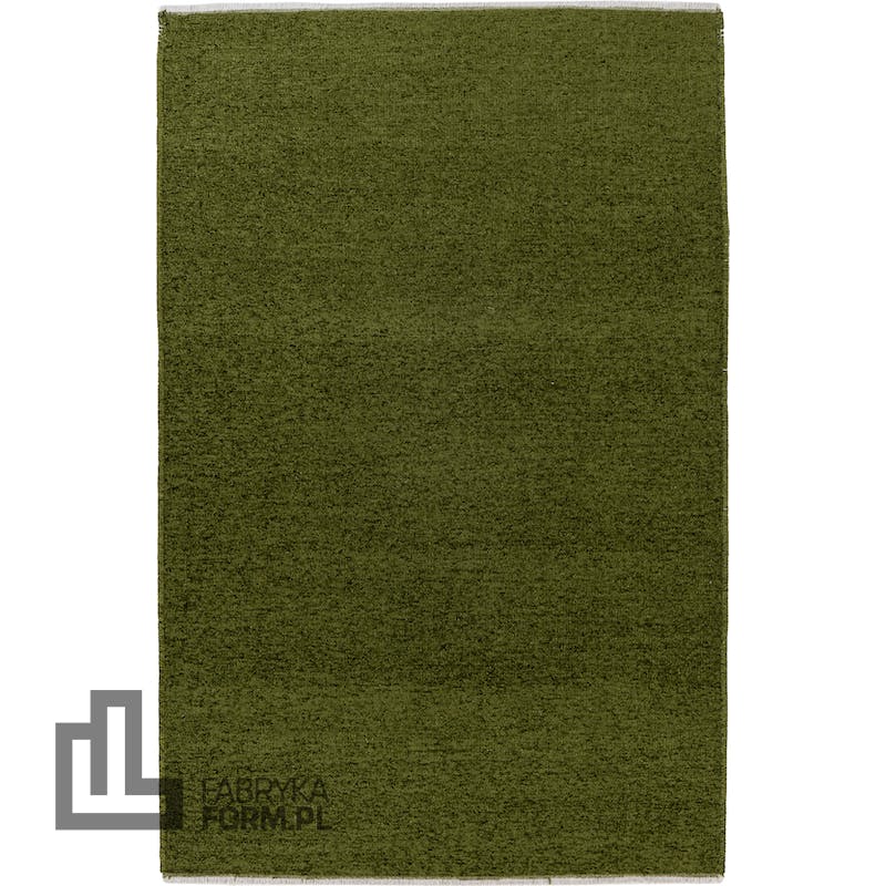 Dywan Visby 175 120 x 170 cm zielony