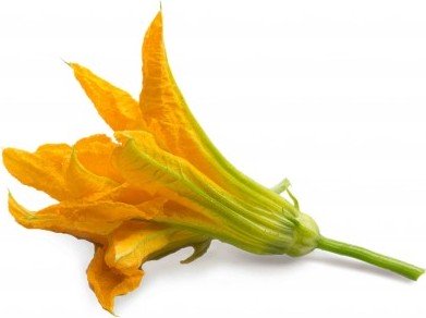 Wkład nasienny Lingot kwiaty jadalne cukinia