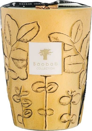 Świeca zapachowa Folia Garrigue 24 cm