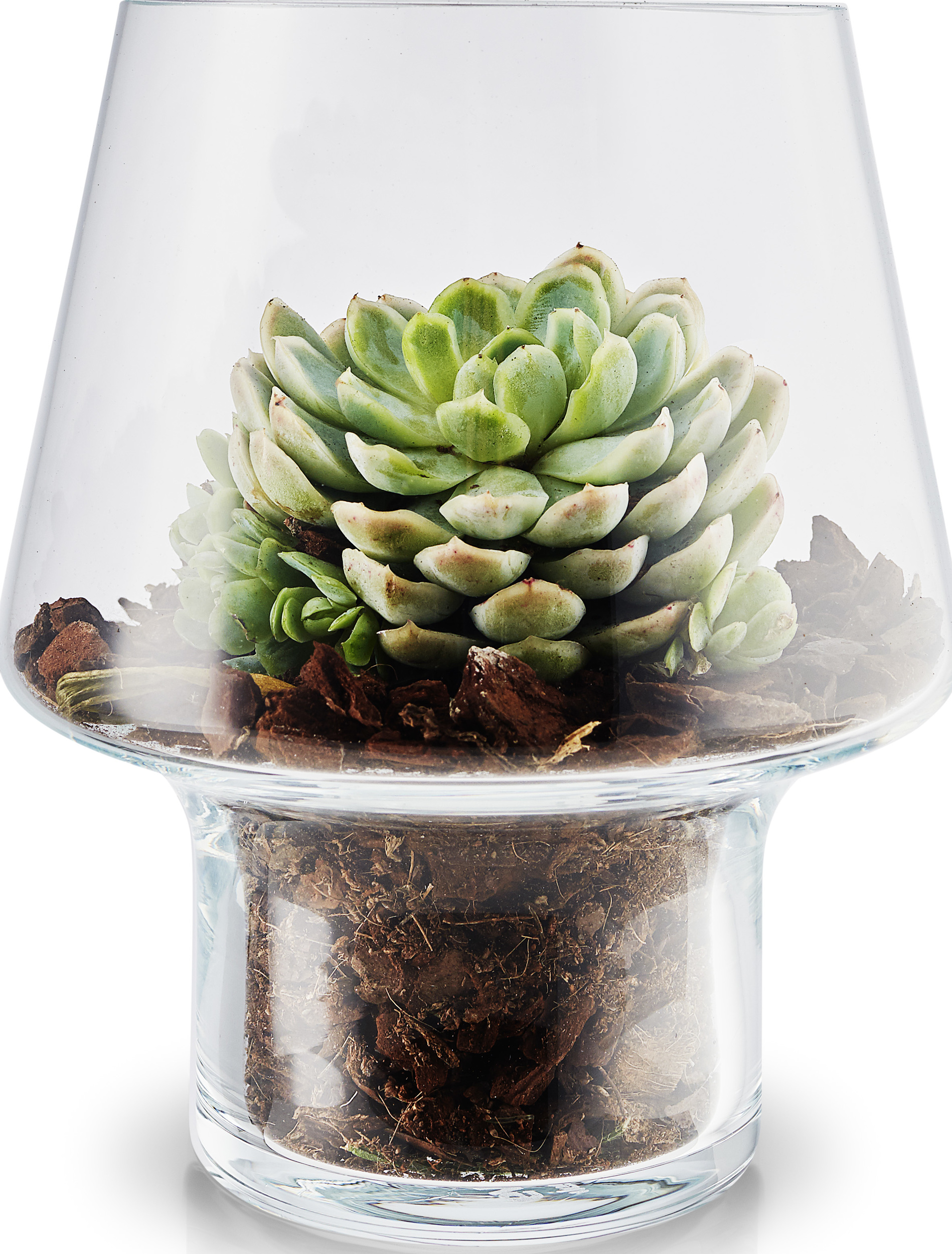 Doniczka na sukulenty Eva Solo 15 cm szklana
