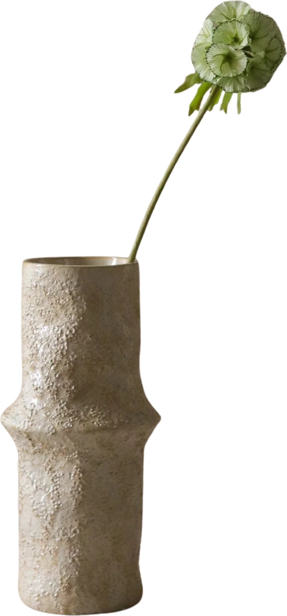 Kwiat sztuczny Botane driakiew 55 cm jasnozielona