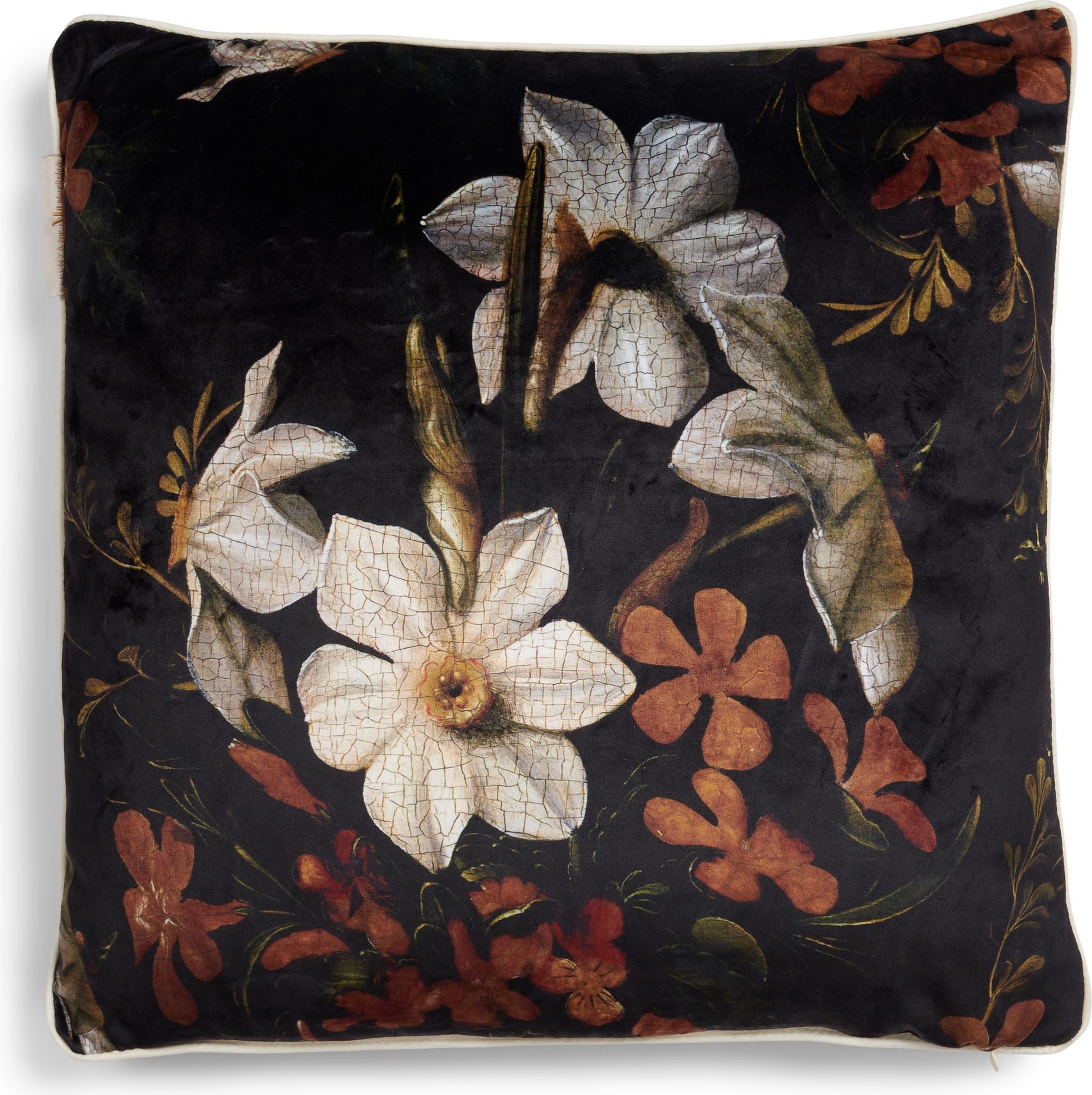 Poduszka Daffodil Reunited 50 x 50 cm czarna