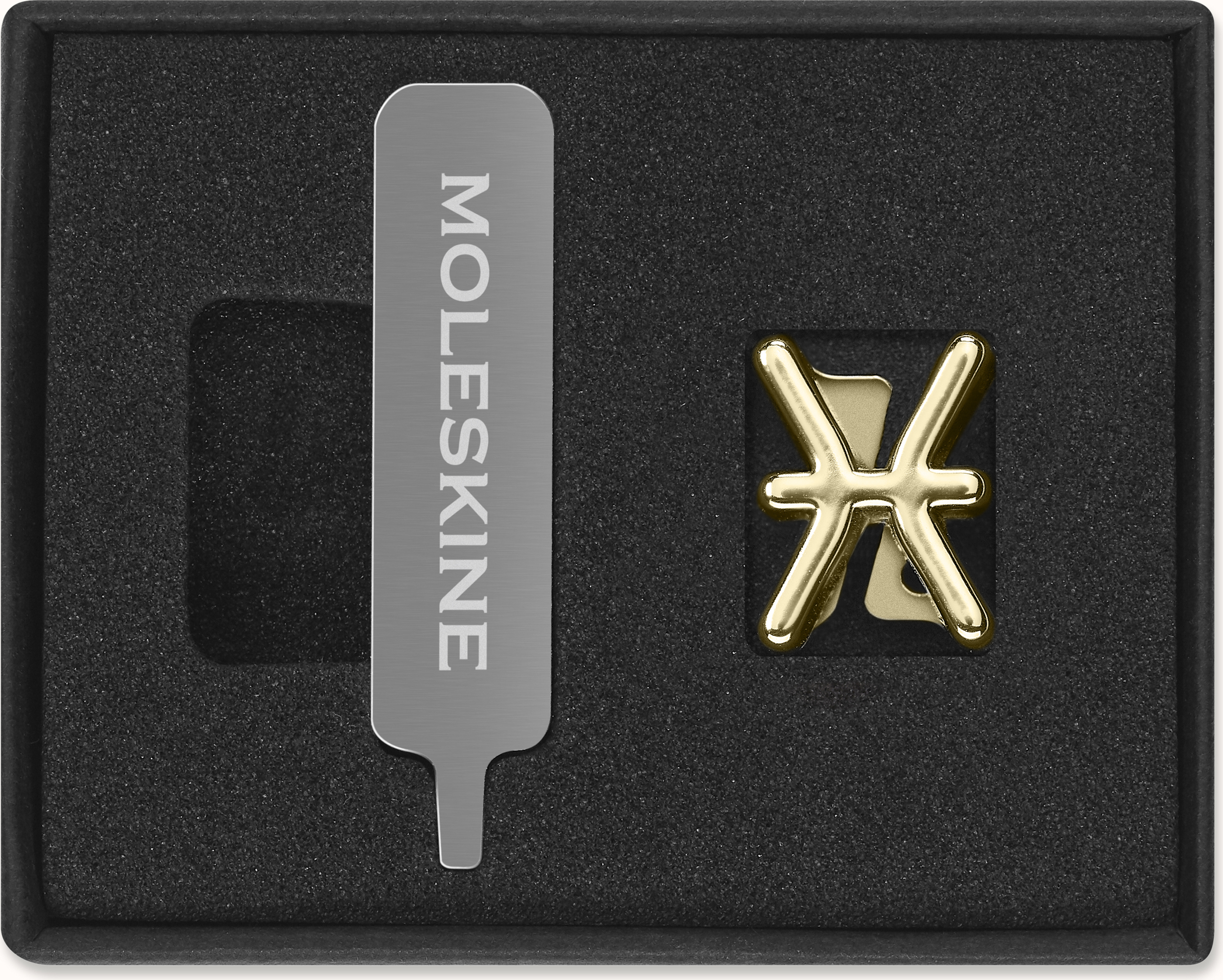 Przypinka na notes Moleskine zodiak ryby złota