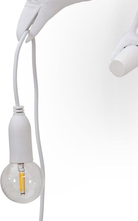 Żarówka Bird zewnętrzna 36V