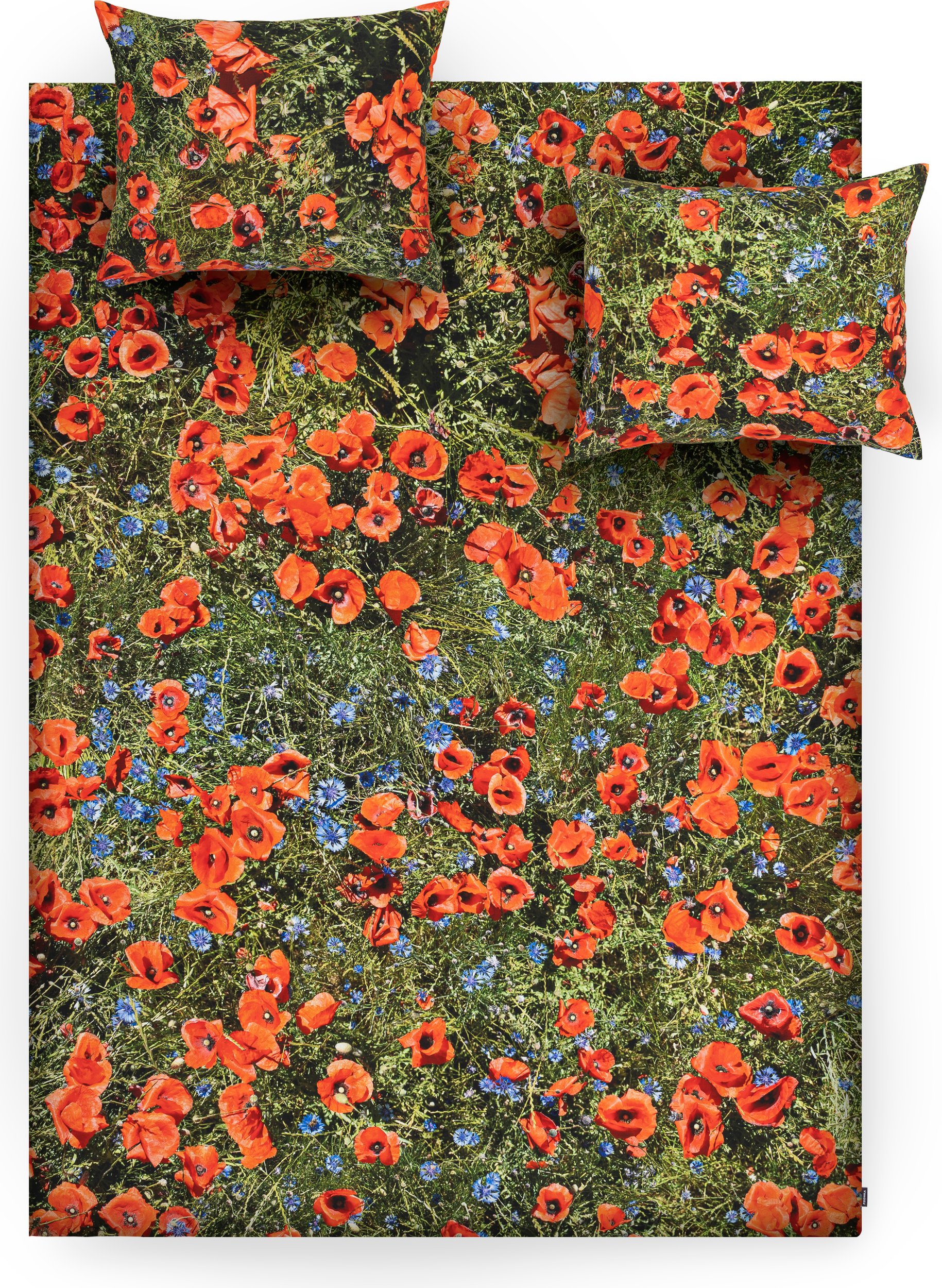 Pościel Hayka maki 240 x 220 cm podwójna z 2 poszewkami na poduszki 70 x 80 cm