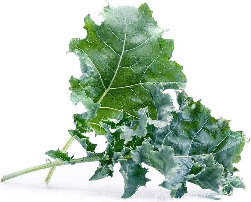 Wkład nasienny Lingot warzywa liściowe jarmuż