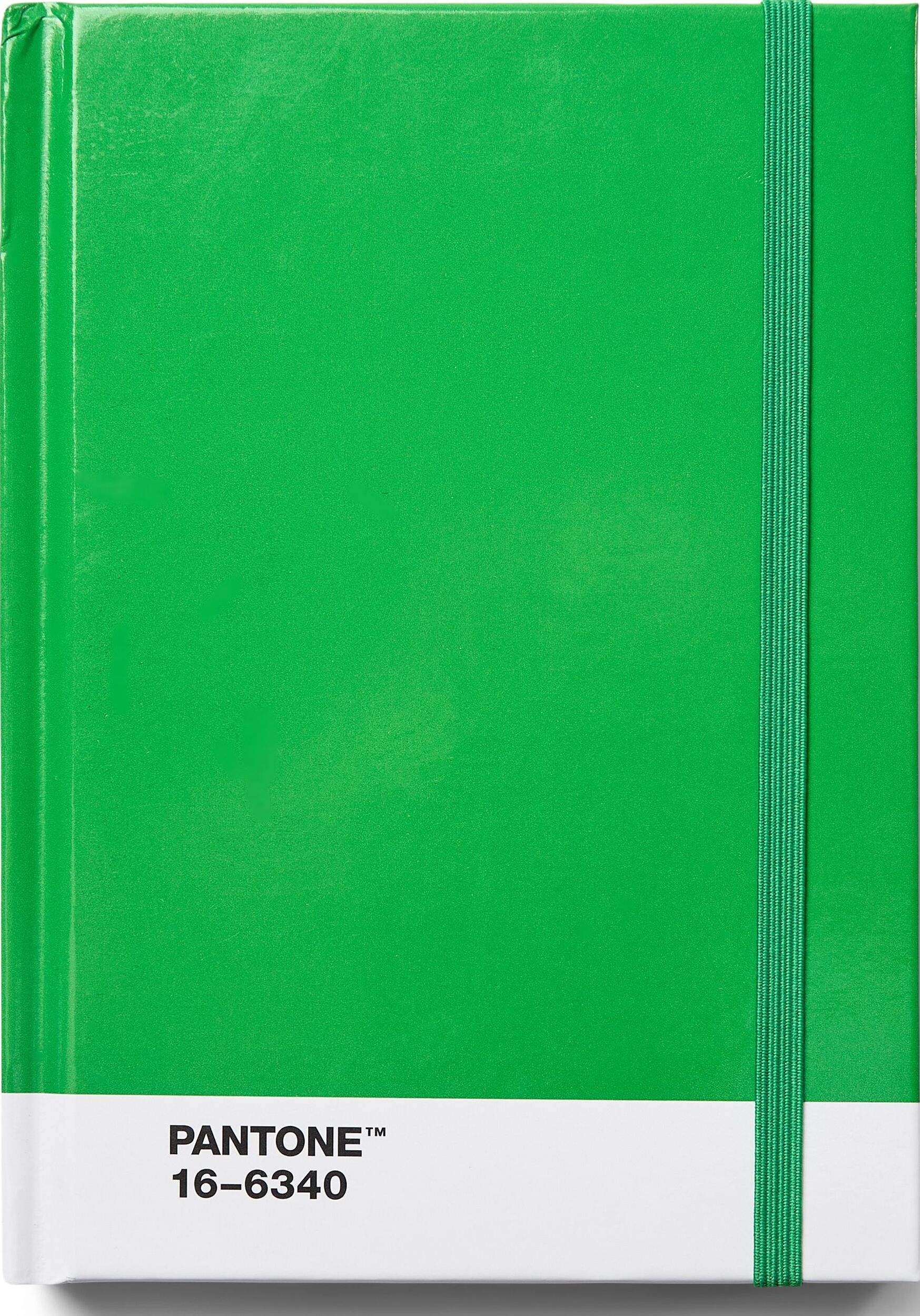 Notes w kropki Pantone S zielony