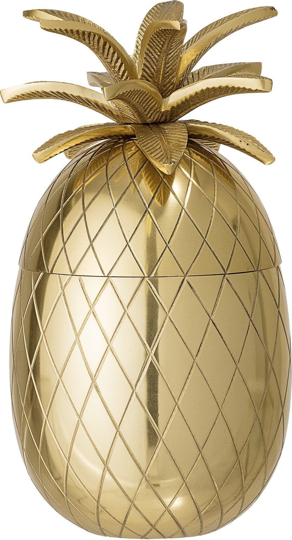 Pojemnik na lód Ananas Bloomingville