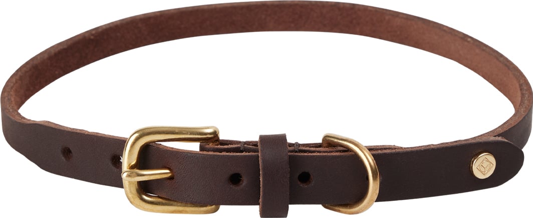Obroża dla psa Robin 58 cm brązowa