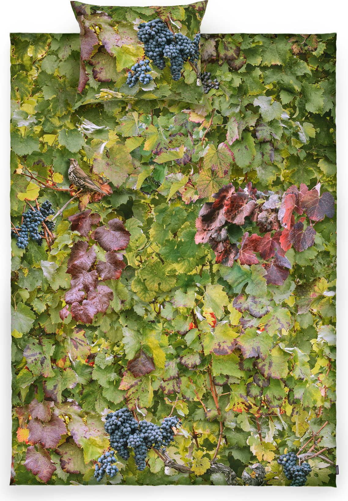 Pościel Hayka winnica 140 x 200 cm pojedyncza z poszewką na poduszkę 70 x 80 cm