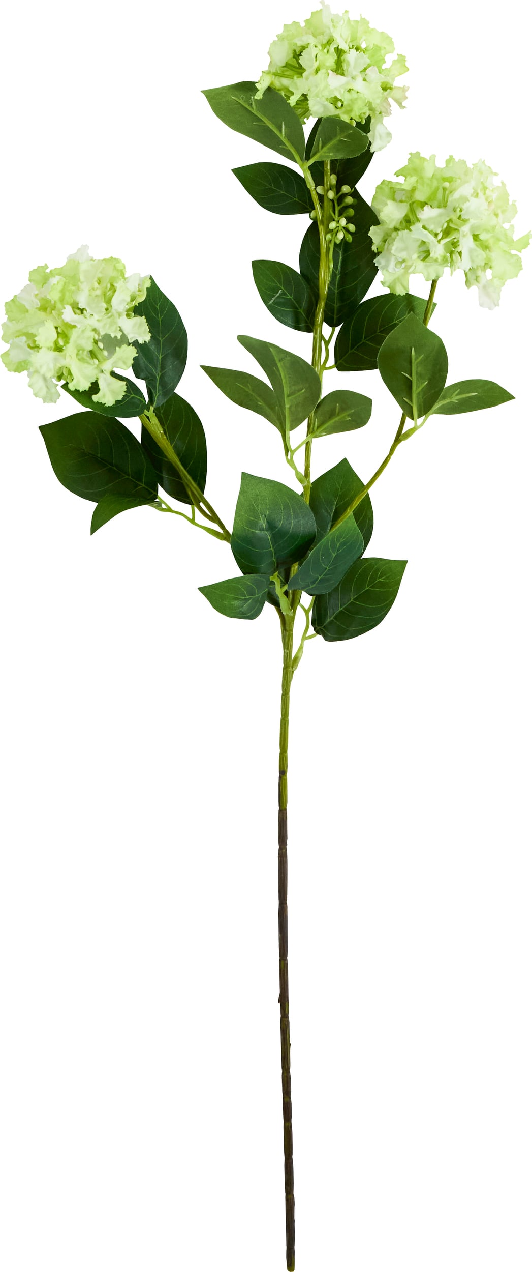 Kwiat sztuczny House Doctor Crepe zielony