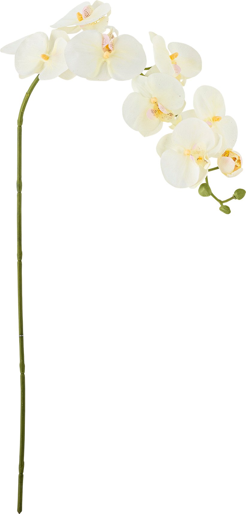 Kwiat sztuczny Bloomingville storczyk biały