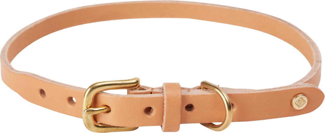 Obroża dla psa Robin 58 cm pomarańczowa