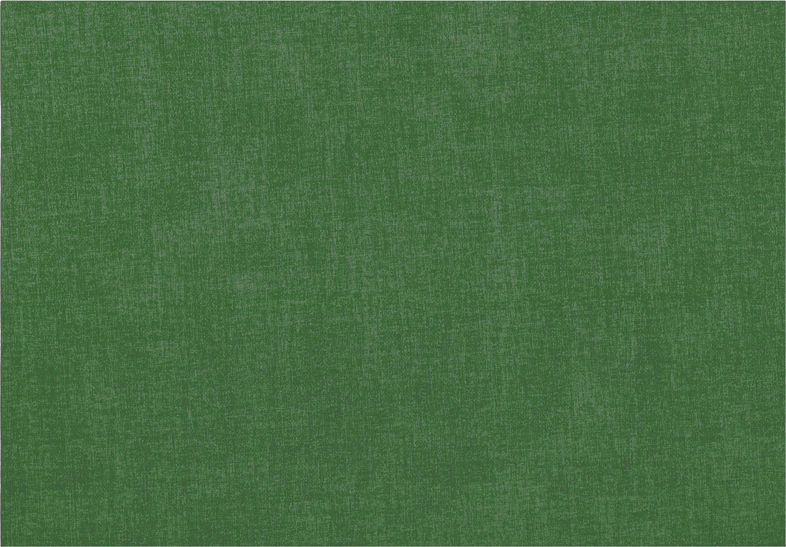 Podkładka pod talerz Fabric 43 x 30 cm zielona dwustronna