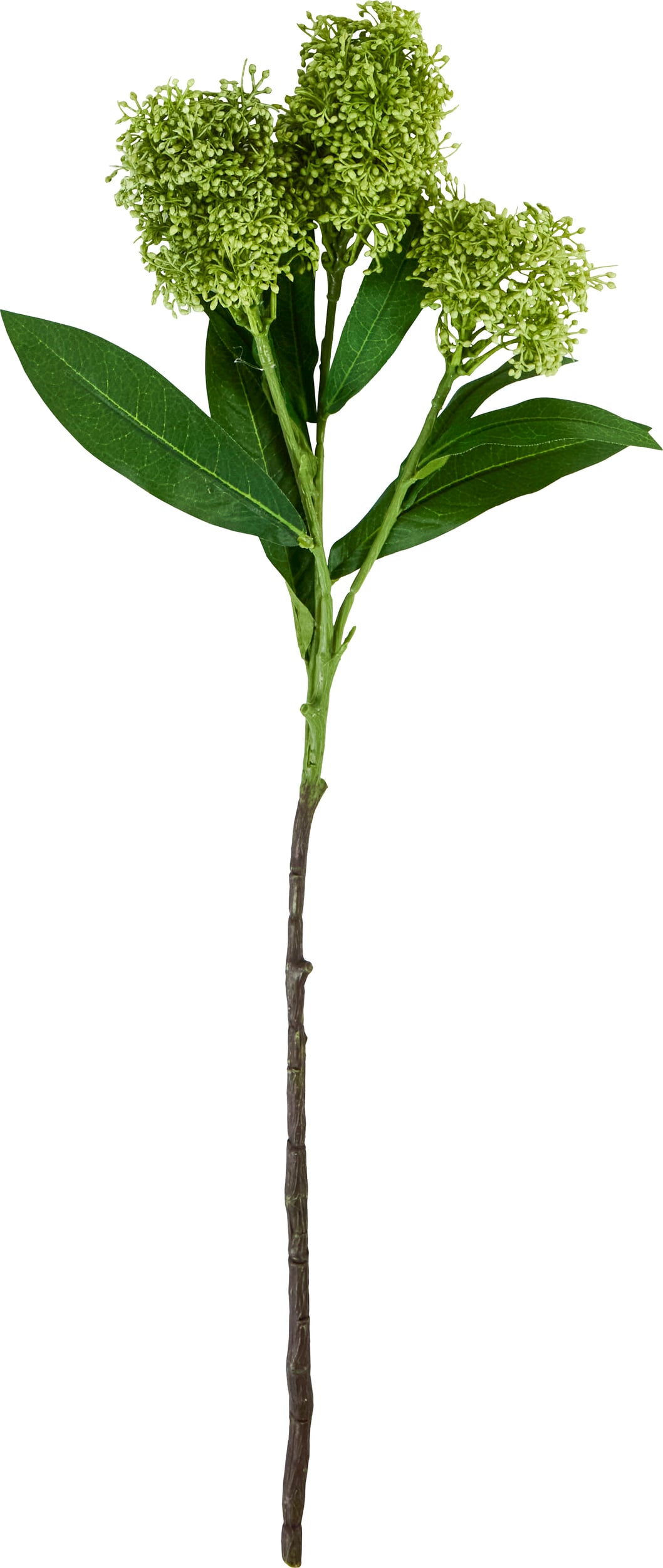 Kwiat sztuczny House Doctor Skimmia zielony