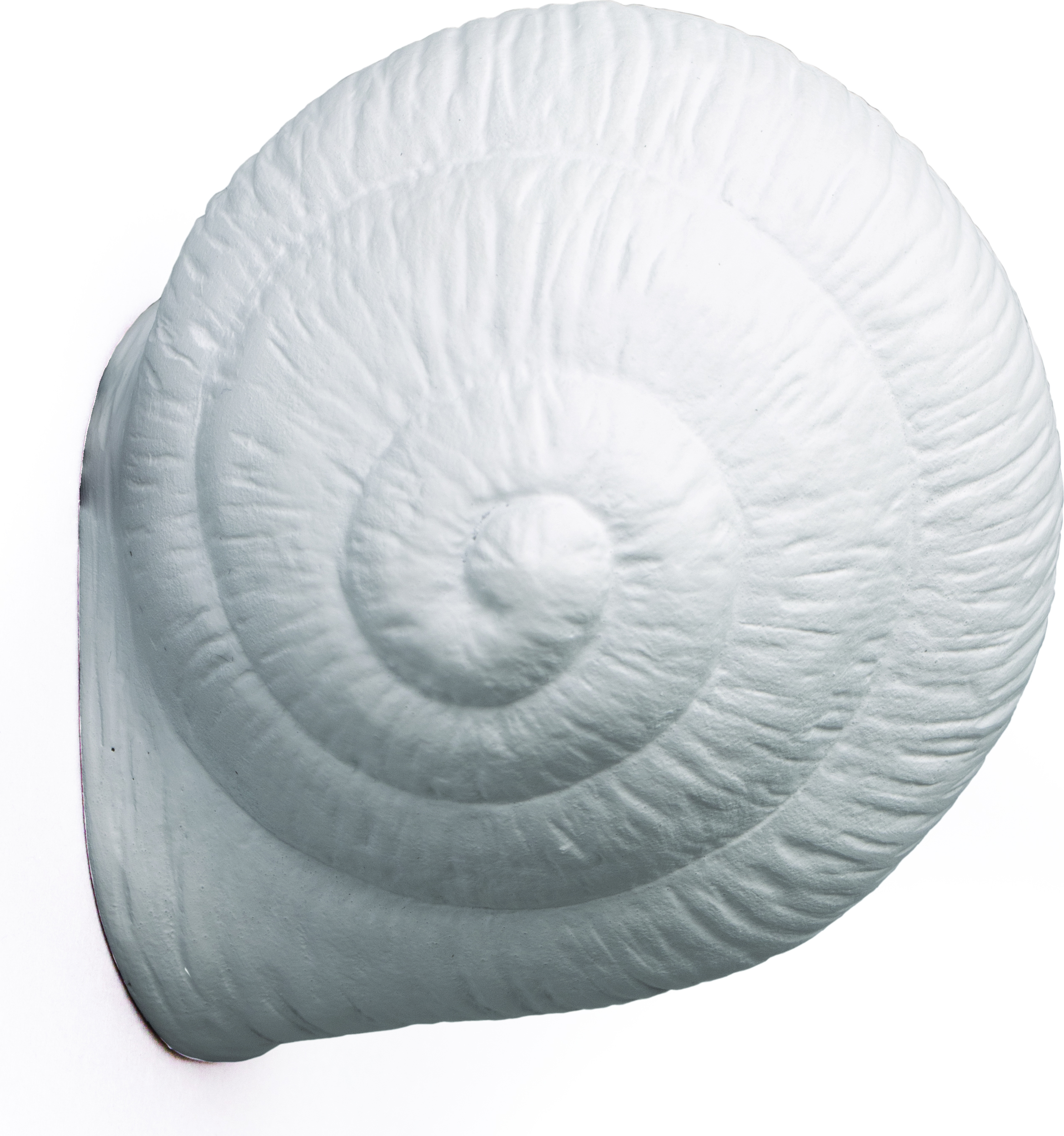 Wieszak Snail Sleepy