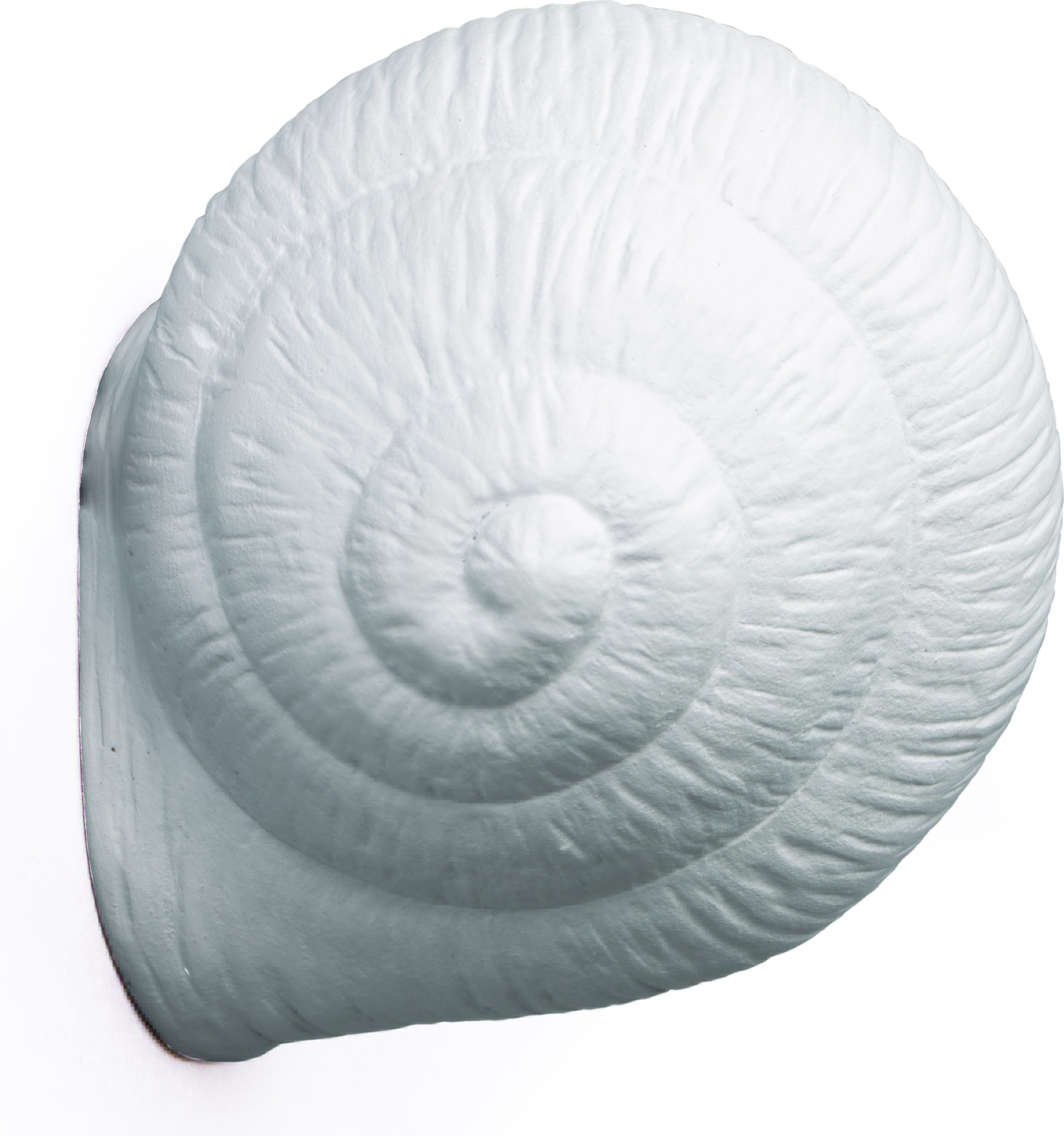 Wieszak Snail Sleepy