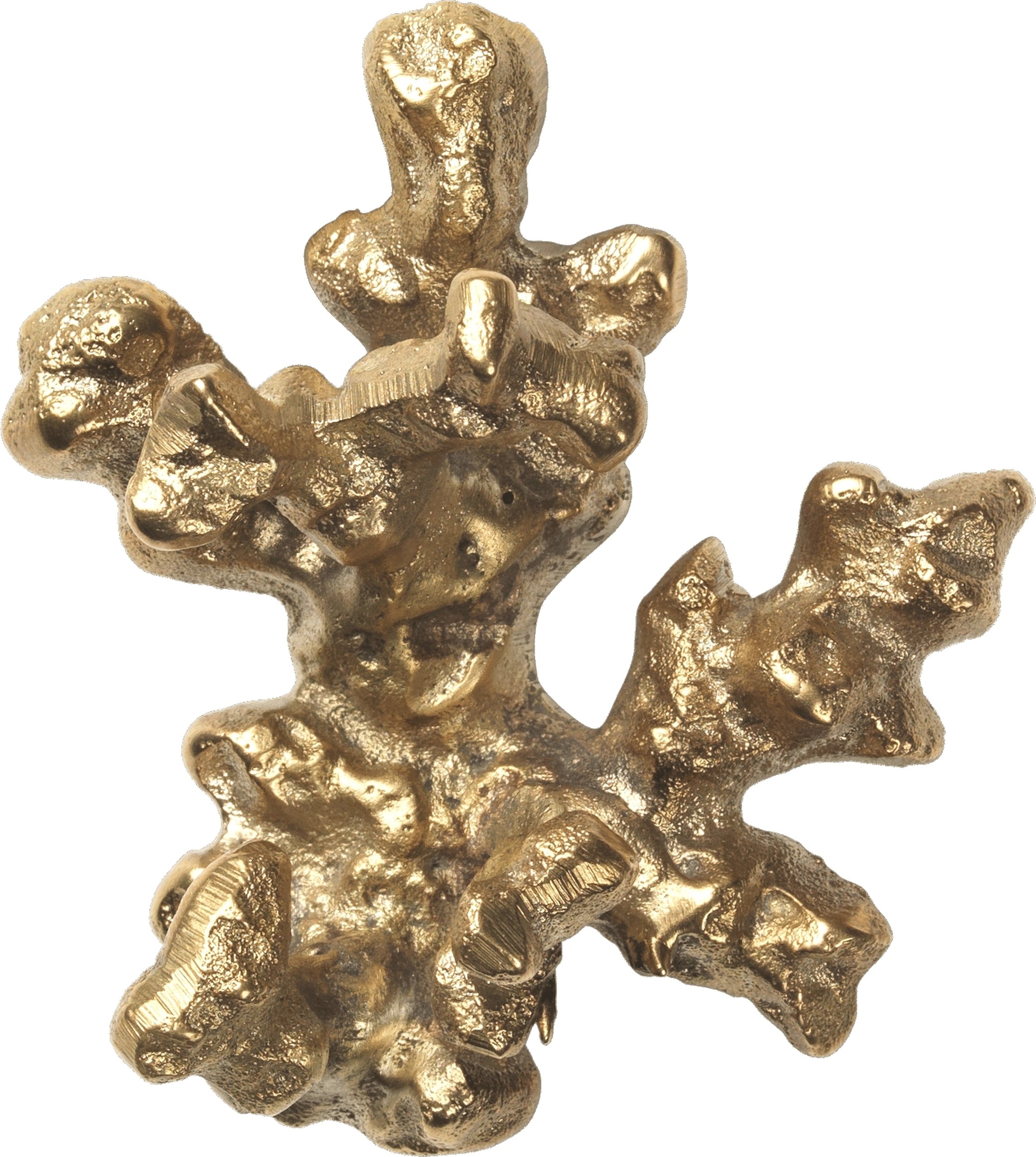 Haczyk ścienny Comber Coral Branch złoty