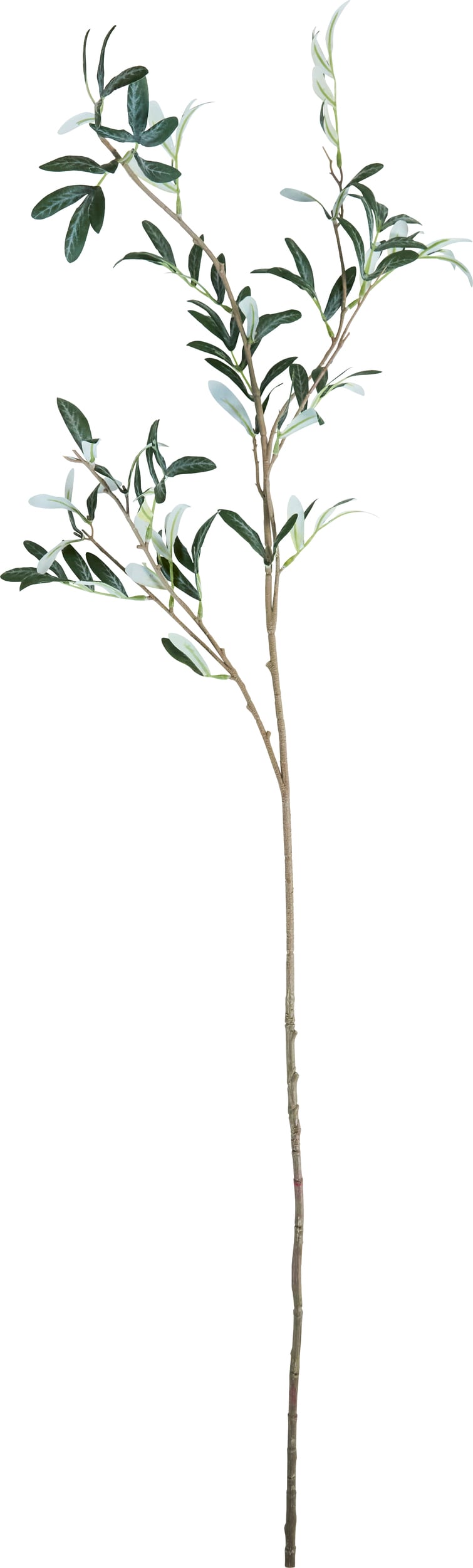 Kwiat sztuczny House Doctor Olive zielony