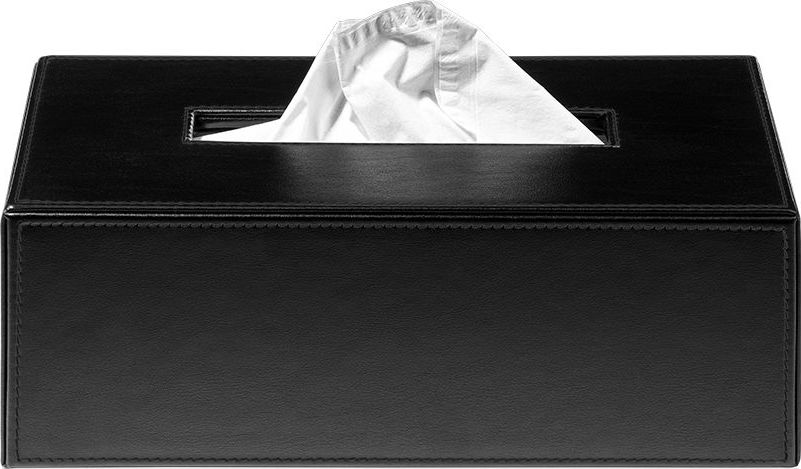 Pojemnik na chusteczki Brownie 12 x 24 cm czarny