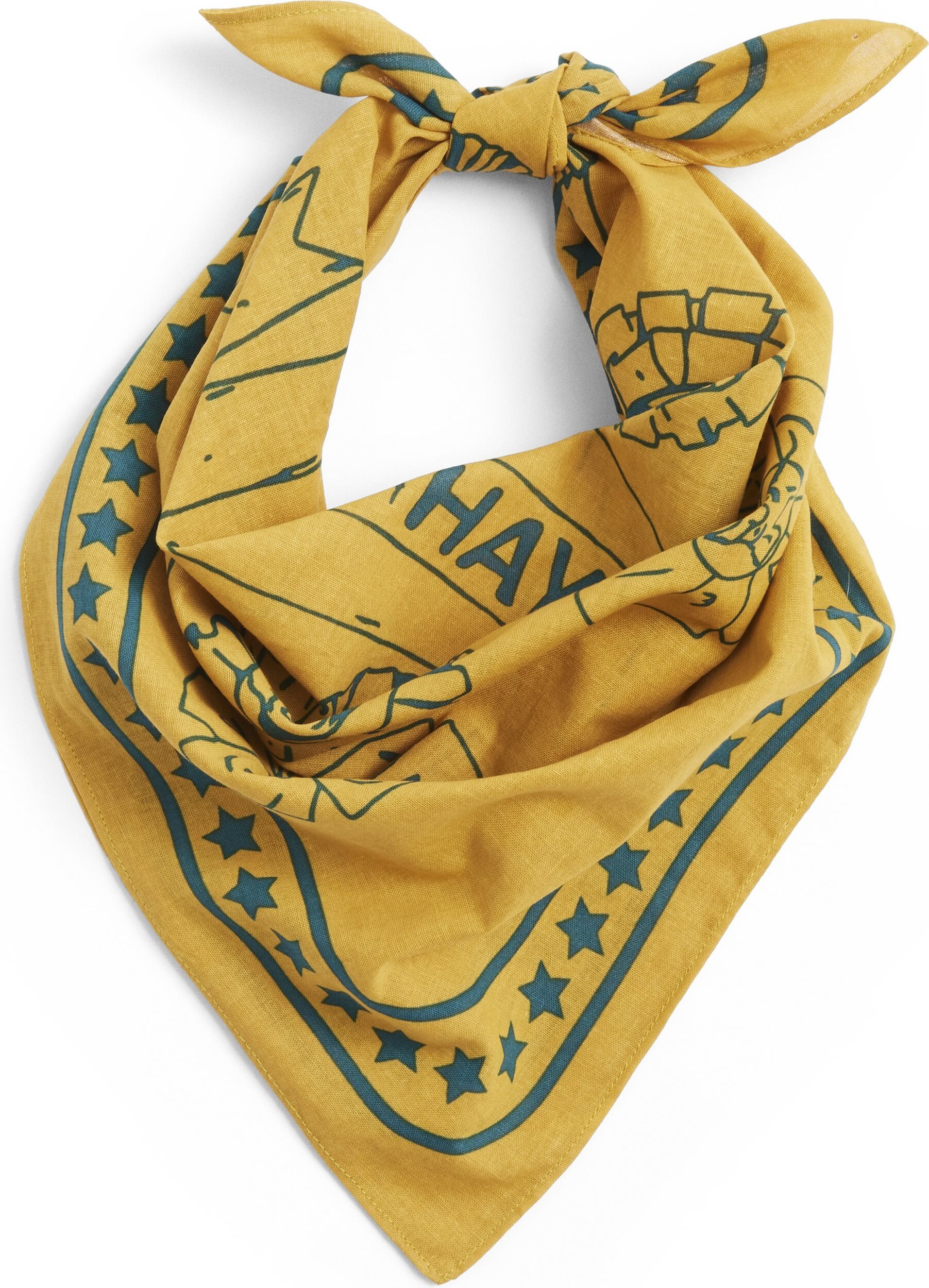 Chusta dla psa Hay ochra